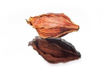 日本多位公众人物落选NS申购引热议 高桥名人发布会主播都在列